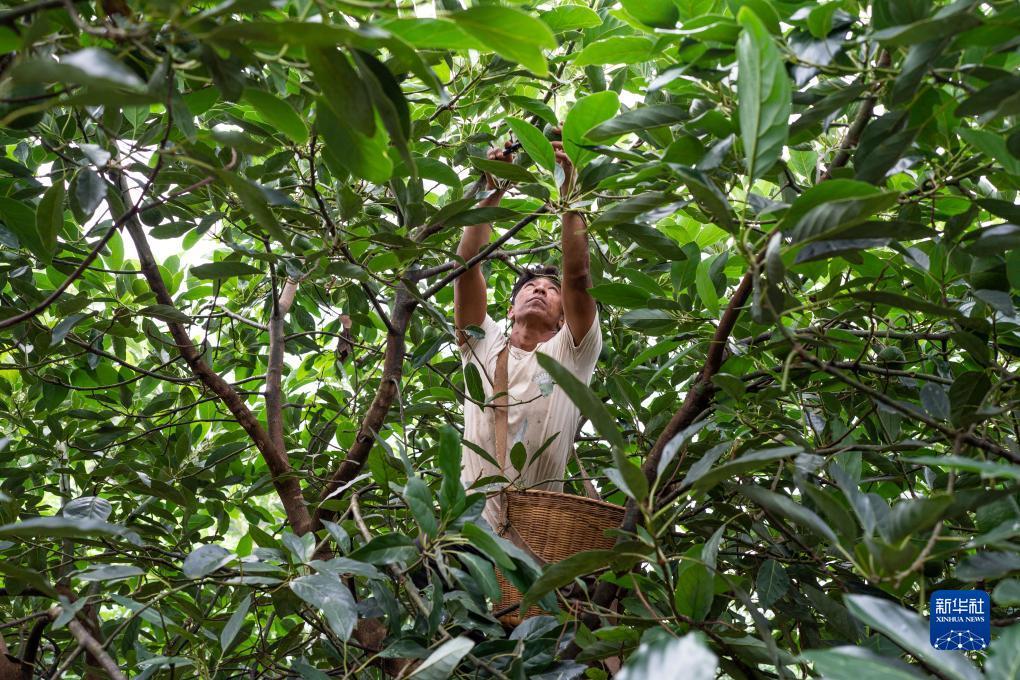 捕鱼游戏平台排行榜